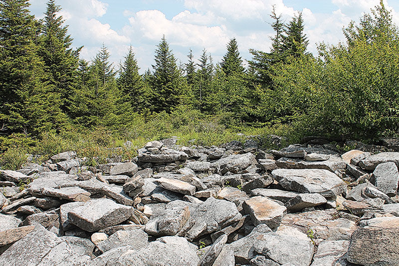 Summit of Spruce Knob, WV